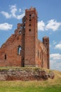 Ruins of Radzyn Chelminski castle