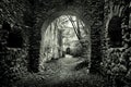 The ruins of Rauheinstein Castle in Austria. Horror background with mysterious atmosphere spooky medieval mood with ruins.