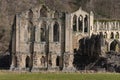 Ruins of Rievaulx Abbey