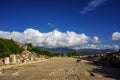 Ruins road with dogs of ancient city of Xanthos - Letoon Xantos, Xhantos, Xanths in Kas, Antalya, Turkey.