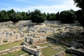 Ruins of the Roman age in N.P. Brioni, Croatia Royalty Free Stock Photo