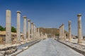 Ruins of the Roman Byzantine city Scythopolis, Tel Beit Shean National Park, Israel