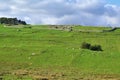 Ruins of Roman Castellum Vercovicium, Housesteads Roman Fort on Hadrian`s Wall, Northumberland National Park, Northern England