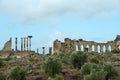 Ruins of the roman city Volubilis in Morocco