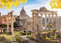 Ruins of Roman Forum in autumn, Rome, Italy Royalty Free Stock Photo