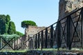 Ruins of the Roman Forum in the city of Rome, Italy Royalty Free Stock Photo