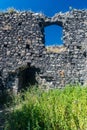 Ruins of Ronov castle near Blizevedly village in Czech republic