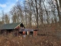 Ruins of rural farmhouse against wooded slope Royalty Free Stock Photo