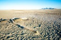 Saltair Ruins Near Great Salt Lake