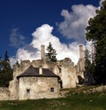 Ruins of Sklabina Castle Royalty Free Stock Photo