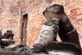 Ruins statue of Buddha with brick wall background at Royalty Free Stock Photo