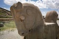 Ruins, statues and murals of ancient persian city of Persepolis in Iran. Most famous remnants of the ancient Persian Royalty Free Stock Photo