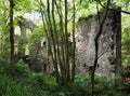 Ruins of staups mill in jumble hole clough in woodland