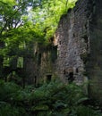 The ruins of staups mill near hebden bridge in woodland