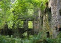 The ruins of staups mill with trees and ferns in summer