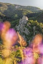 Ruins of Strecno Castle during spring time in Slovakia