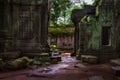 The Ruins of Ta Prohm