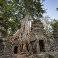 Ruins of Ta Prohm - Angkor Wat - Cambodia Royalty Free Stock Photo