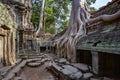 Ruins of Ta Prohm - Angkor Wat - Cambodia