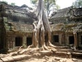 The ruins of Ta Prohm, part of the ancient Angkor Wat Temple complex in Siem Reap, Cambodia Royalty Free Stock Photo