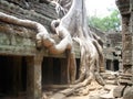 The ruins of Ta Prohm, part of the ancient Angkor Wat Temple complex in Siem Reap, Cambodia