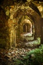 Ruins of Tarakanivskiy Fort Fort Dubno, Dubno New Castle - for