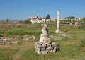 Ruins of temple of Artemis are in Turkey