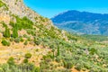 Ruins of temple of Athena Pronaia at Delphi, Greece Royalty Free Stock Photo