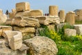 Ruins Temple Augustus Rome Yellow Wildflowers Acropolis Athens G Royalty Free Stock Photo