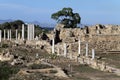 Ruins in Salamis