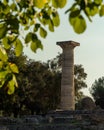 Ruins of the Temple of Zeus, Olympia Royalty Free Stock Photo