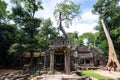 Ruins and tetrameles at Ta prohm temple