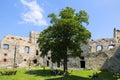 Ruins of 15th century medieval castle, Tenczyn Castle, Rudno, Poland