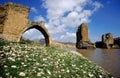 The ancient bridge over the Tirgis river in Hasankeyf, Turkey