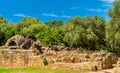 Ruins of Tipasa, a Roman colonia in Algeria, North Africa Royalty Free Stock Photo