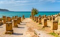 Ruins of Tipasa, a Roman colonia in Algeria, North Africa Royalty Free Stock Photo