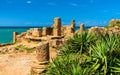 Ruins of Tipasa, a Roman colonia in Algeria, North Africa Royalty Free Stock Photo