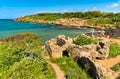 Ruins of Tipasa, a Roman colonia in Algeria, North Africa Royalty Free Stock Photo