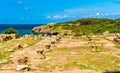 Ruins of Tipasa, a Roman colonia in Algeria, North Africa Royalty Free Stock Photo