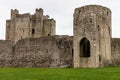 Ruins of Trim castle Royalty Free Stock Photo