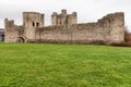 Ruins of Trim castle Royalty Free Stock Photo