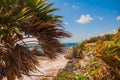 Ruins of Tulum, Mexico overlooking the Caribbean Sea in the Riviera Maya Aerial View. Tulum beach Quintana Roo Mexico - drone shot Royalty Free Stock Photo
