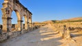 The ruins of Volubilis in Morocco Royalty Free Stock Photo