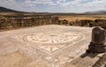 Ruins at Volubilis Morocco Royalty Free Stock Photo