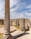 Ruins at Volubilis Morocco Royalty Free Stock Photo