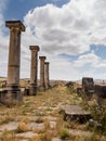 Ruins at Volubilis Morocco Royalty Free Stock Photo