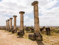 Ruins at Volubilis Morocco Royalty Free Stock Photo