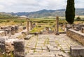 Ruins at Volubilis Morocco Royalty Free Stock Photo