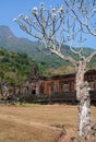 Ruins of the Wat Phu Temple Laos Royalty Free Stock Photo