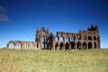 Ruins of Whitby Abbey